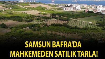 Samsun Bafra'da mahkemeden sat�l�k tarla!