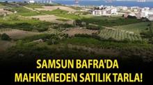 Samsun Bafra'da mahkemeden sat�l�k tarla!