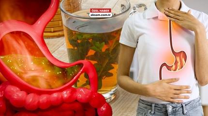 1 fincan yetiyor: Mide yanmas�na iyi gelen 3 bitki �ay�! Uzman� a��klad�