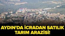 Ayd�n Bozdo�an'da icradan sat�l�k tar�m arazisi!