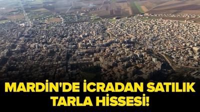 Mardin K�z�ltepe'de icradan sat�l�k tarlan�n 1/3 hissesi!