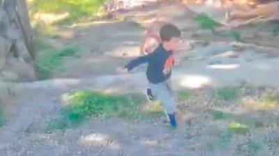 Antalya'da sahipsiz k�pek deh�eti: 7 ya��ndaki �ocuk hastanelik oldu