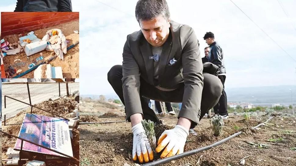 CHP'li ba�kan�n lavanta �ovu soldu