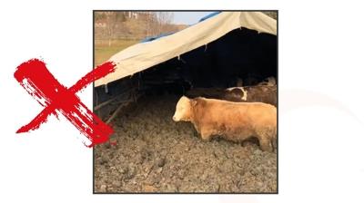 Bakanl�k refaha ayk�r� davran��a ac�mad�