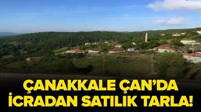 �anakkale �an Ok�ular K�y�'nde icradan sat�l�k tarla!
