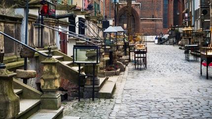 Zeka testi: Sokaktaki yavru kedi nerede? 550 ki�iden 12'si 7 saniyede buldu