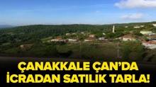 �anakkale �an Ok�ular K�y�'nde icradan sat�l�k tarla!