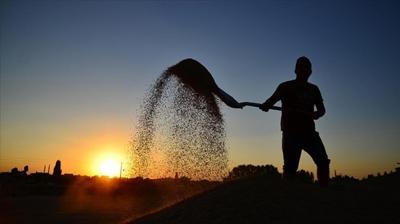 Bakanl�k d��meye bast�: Tar�msal �retimde 'g�bre' dopingi