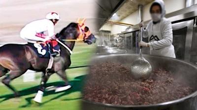 CHP'li belediye seviye atlad�! Garibana yedirdikleri at 