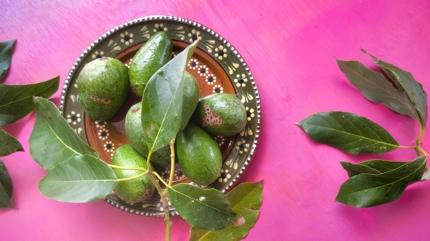 Yapra�� meyvesi gibi �ifa! ��te o meyve