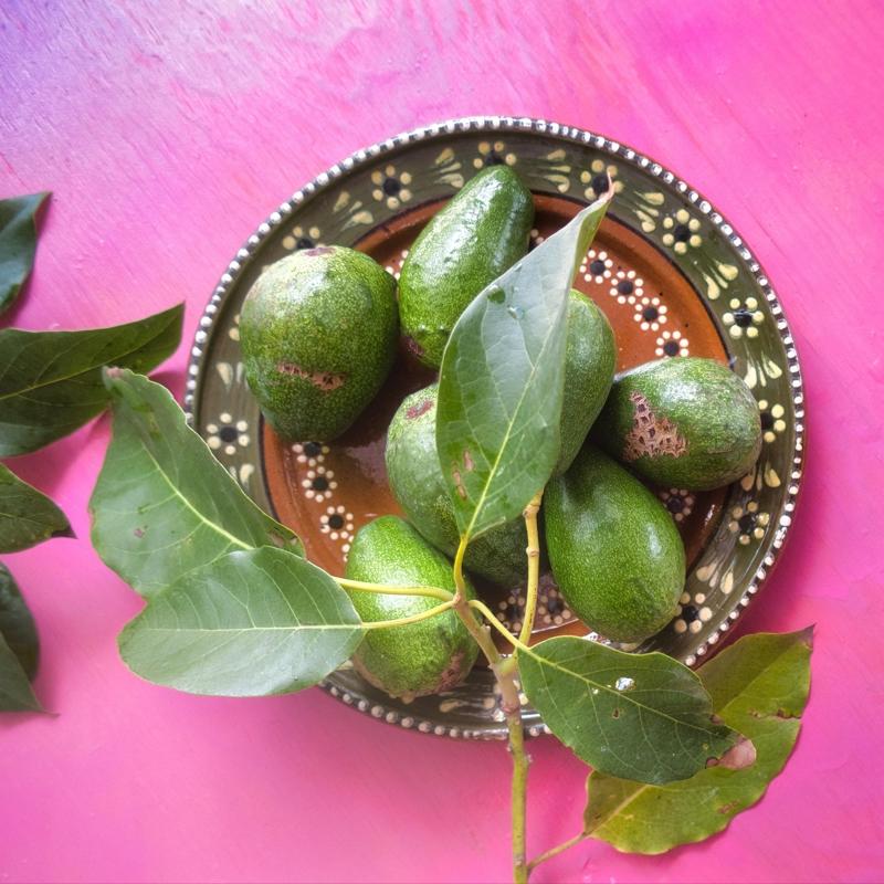 Yapra�� meyvesi gibi �ifa! ��te o meyve