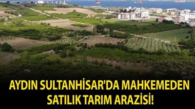 Ayd�n Sultanhisar'da mahkemeden sat�l�k tar�m arazisi!