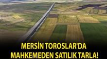 Mersin Toroslar'da mahkemeden sat�l�k tarla!