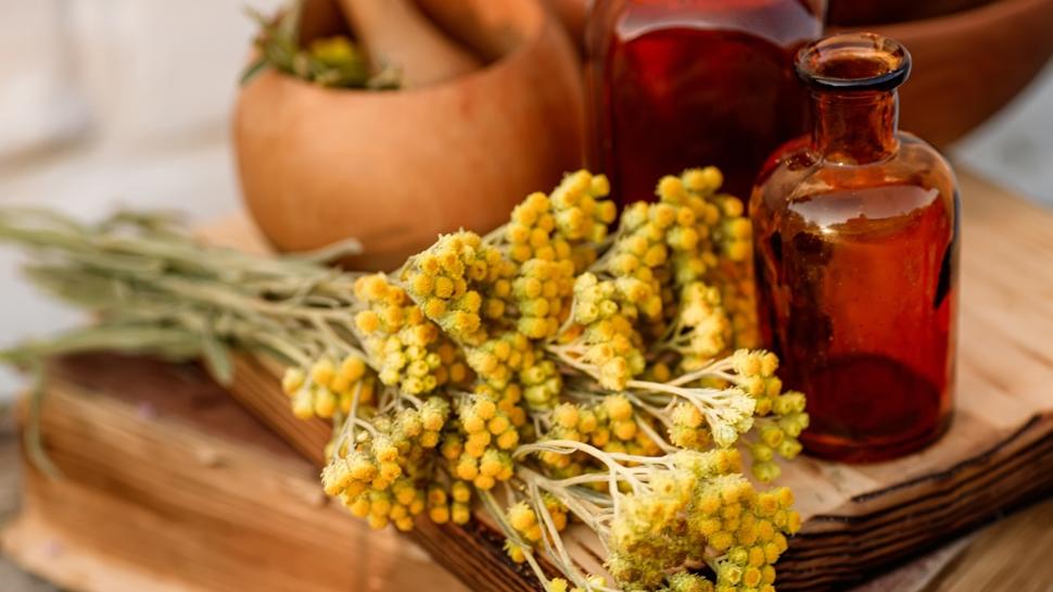 Yan�k ve yaralar�n bir numaral� bitkisi! Yol kenar�nda dahi yeti�iyor