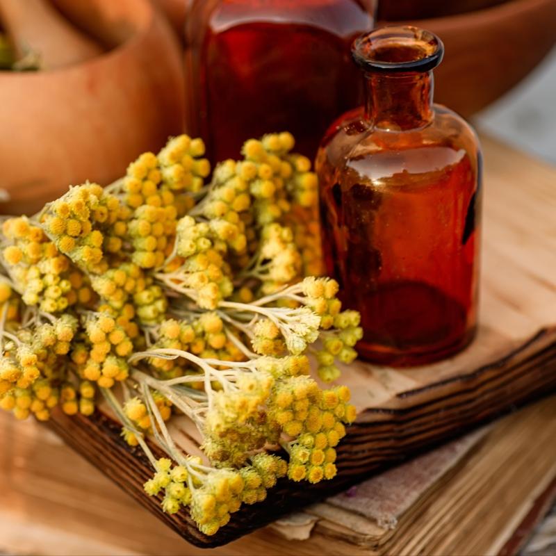 Yan�k ve yaralar�n bir numaral� bitkisi! Yol kenar�nda dahi yeti�iyor