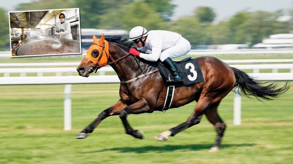 Kavurma olan at�n sahibine ceza