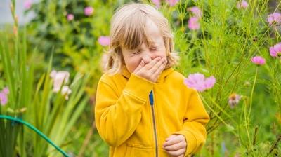 �ocuklarda sinsi alerjiye dikkat