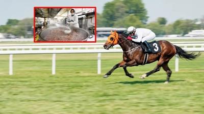 Kavurma olan at�n sahibine ceza! 132 bin TL �deyecek