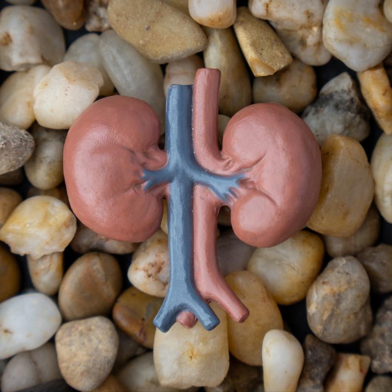 B�brek ta��n� d���ren sebze! �drar� s�kt�r�yor, C vitamini y�kl�