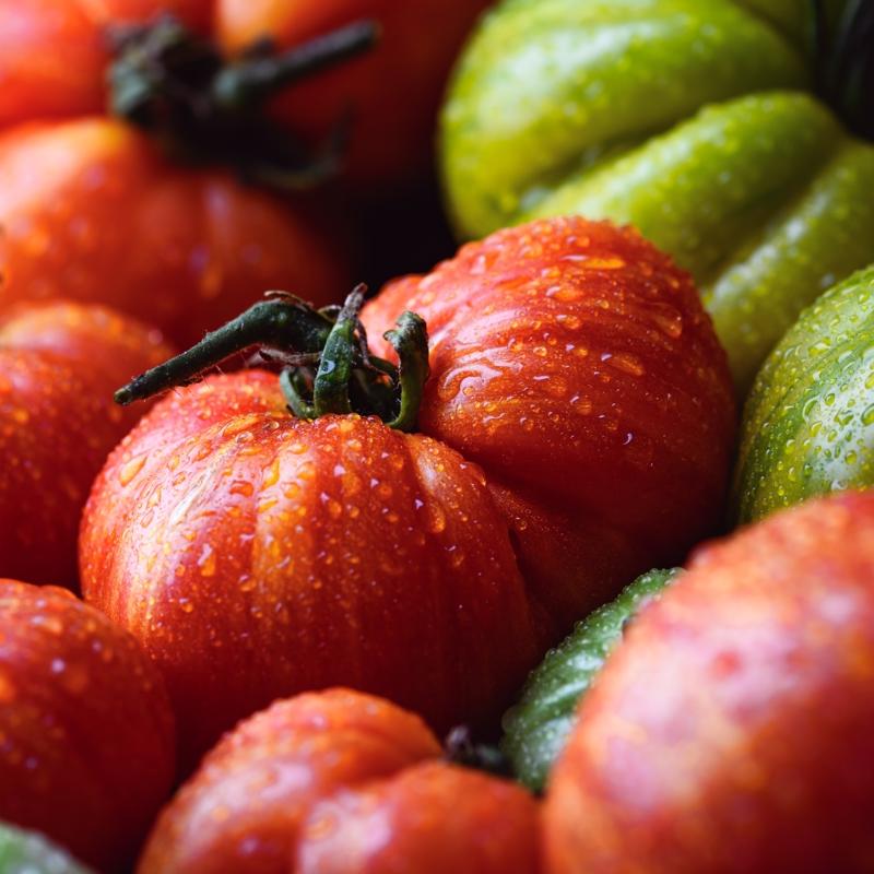 G�nlerce taze t�ketin! Domates nas�l saklan�r?