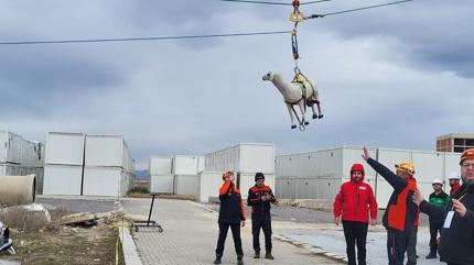 AFAD'dan uluslararas� proje: RESQ-ANIMALS ba�lat�ld�