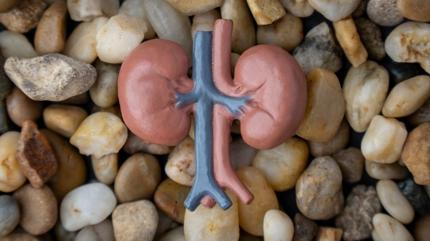 B�brek ta��n� d���ren sebze! �drar� s�kt�r�yor, C vitamini y�kl�