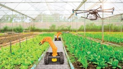 Otonom robot filolar� 2050'de tarlada olacak