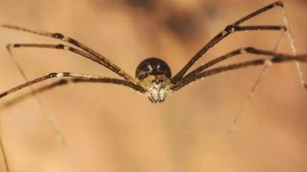 �r�mcekten kurtulman�n yolu! Me�er ��z�m� bu kadar basitmi�