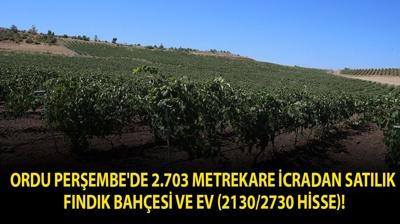 Ordu Per�embe'de 2.703 metrekare icradan sat�l�k f�nd�k bah�esi ve ev (2130/2730 hisse)!