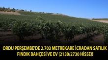 Ordu Per�embe'de 2.703 metrekare icradan sat�l�k f�nd�k bah�esi ve ev (2130/2730 hisse)!