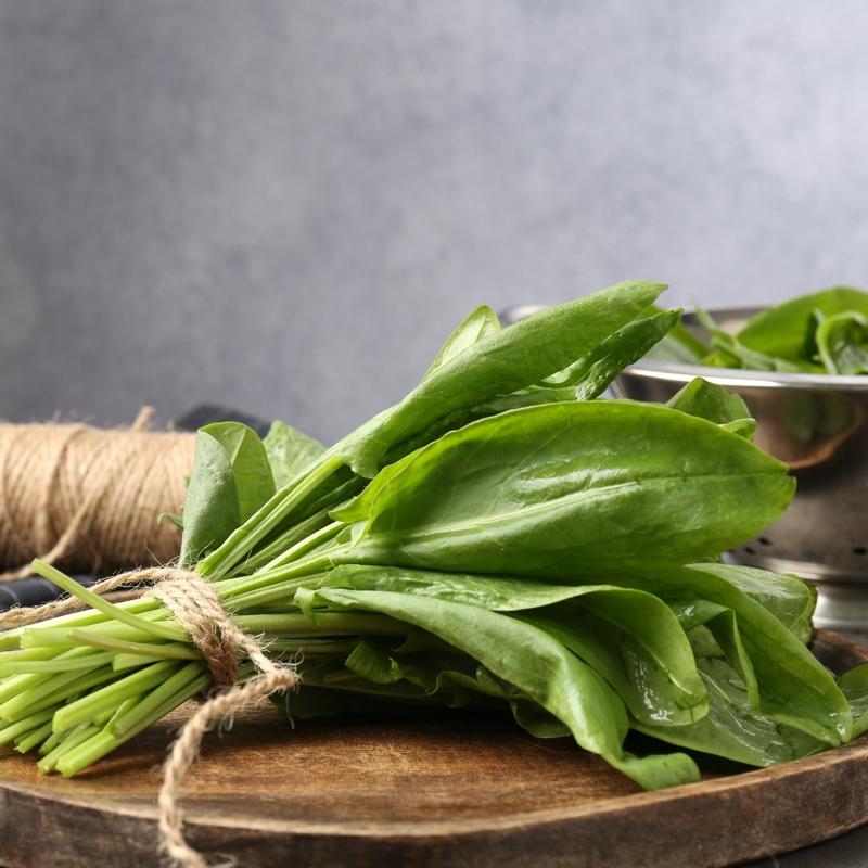 Ye�illikler haftalarca taze kal�yor! Nemden uzak tutun