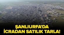 �anl�urfa Haliliye'de icradan sat�l�k tarla!