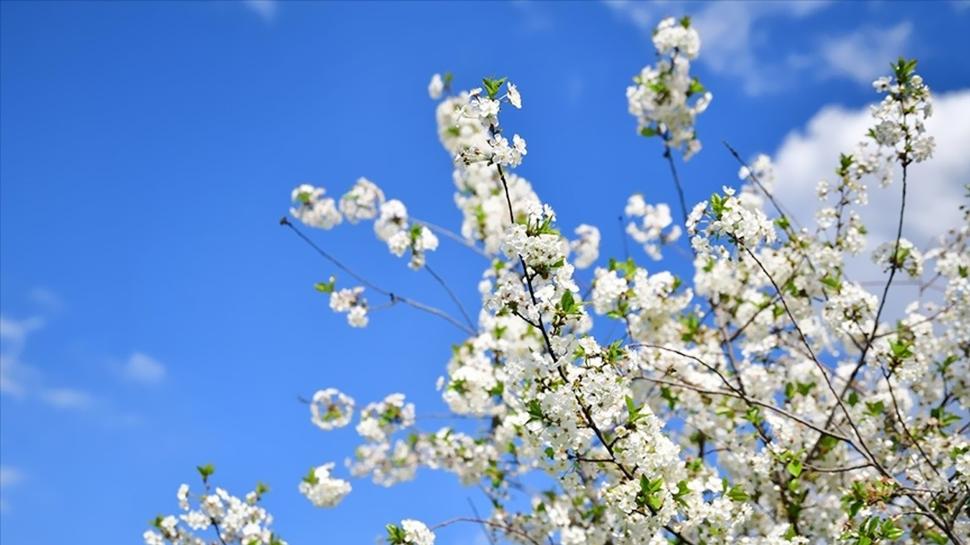 2026 havalar ne zaman �s�nacak? So�uk havalar ne zaman bitecek?