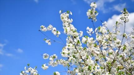 2026 havalar ne zaman �s�nacak? So�uk havalar ne zaman bitecek?