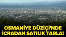 Osmaniye D�zi�i'nde icradan sat�l�k tarla!