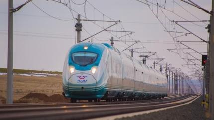 TCDD otla m�cadele kapsam�nda tren yollar�nda ila�lama yapacak