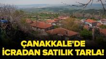 �anakkale Merkez Kemel K�y�'nde icradan sat�l�k tarla!