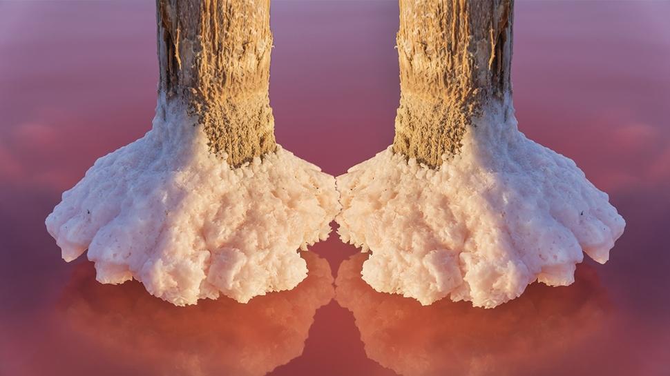 Ki�ilik testi: Resimde ilk ne g�rd�n? �rdek g�rd�yseniz bunlar� duymaya haz�r olun