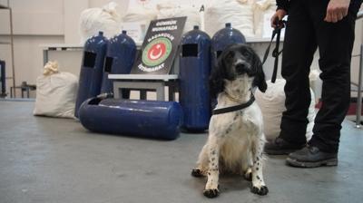 LPG tank�na gizlenen uyu�turucu bulundu! G�mr�k muhafazan�n narkotik k�pekleri i� ba��nda