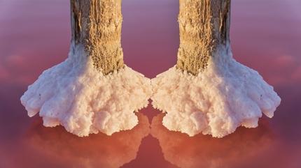 Ki�ilik testi: Resimde ilk ne g�rd�n? �rdek g�rd�yseniz bunlar� duymaya haz�r olun