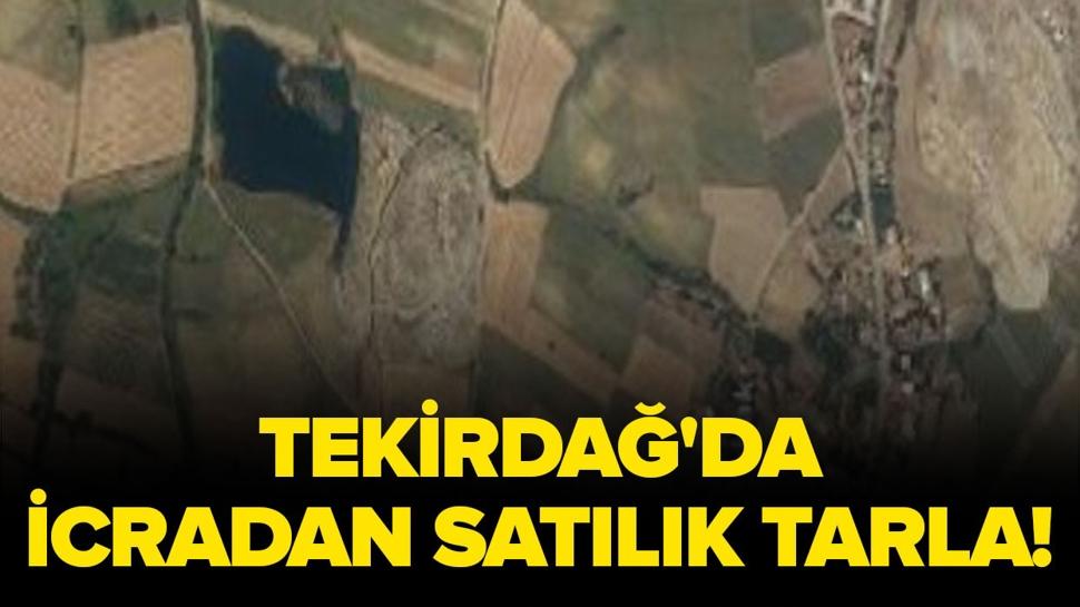 Tekirdağ'da icradan satılık tarla!