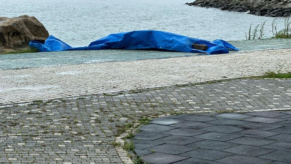 Ordu'da şüpheli cisim alarmı... İnceleme yapılacak