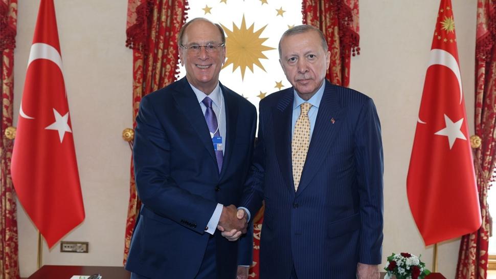 Başkan Erdoğan, Dünya Ekonomik Forumu Başkanı Fink'i kabul etti