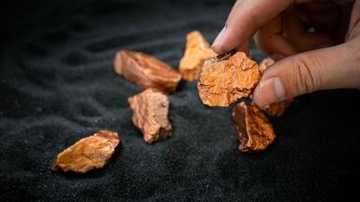 Geli�mi� sistemler i�in vazge�ilmez! T�rkiye s�n�rl� say�da �lkeler aras�na girdi