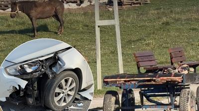 �a�k�na �eviren olay! Ba��bo� at arabas� alt�st etti