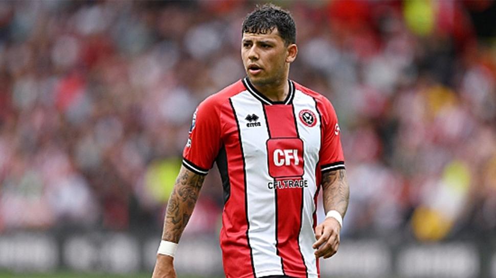 Gustavo Hamer sesleri