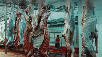 Savc�l�k 8 ilde d��meye bast�! 