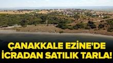�anakkale Ezine'de icradan sat�l�k tarla!