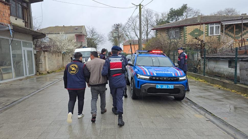 At kesim çiftliğine operasyon