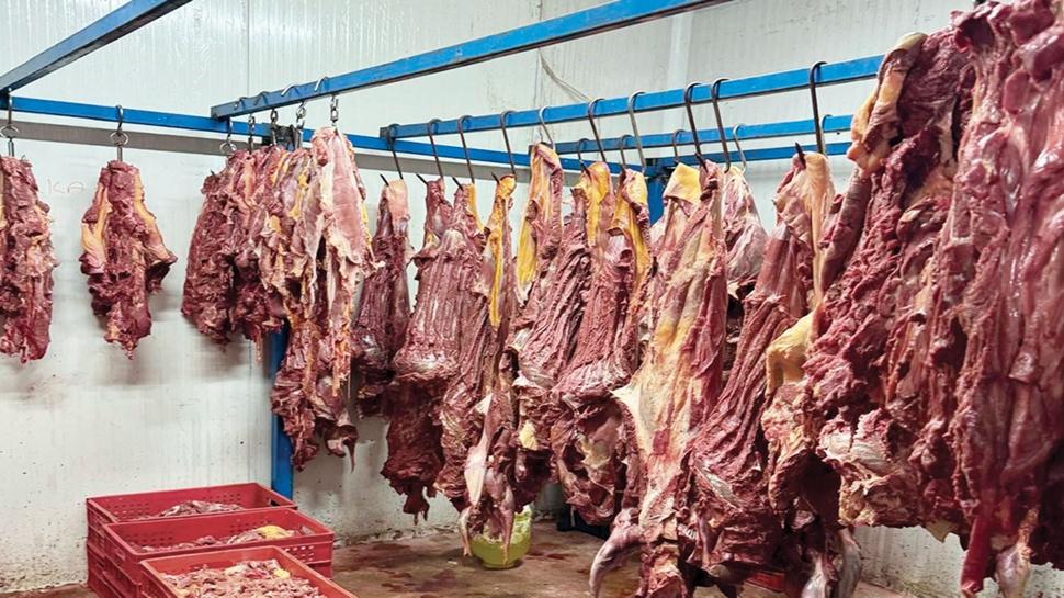 Ette alçak oyuna neşter... Ankara merkezli 8 ilde operasyon